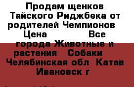 Продам щенков Тайского Риджбека от родителей Чемпионов › Цена ­ 30 000 - Все города Животные и растения » Собаки   . Челябинская обл.,Катав-Ивановск г.